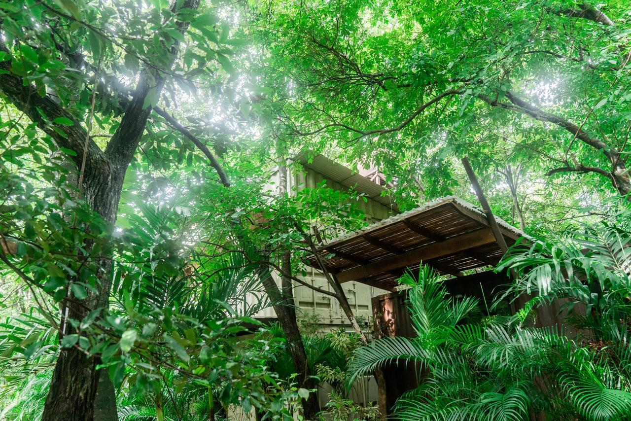 Green Sanctuary Hotel Носара Екстериор снимка