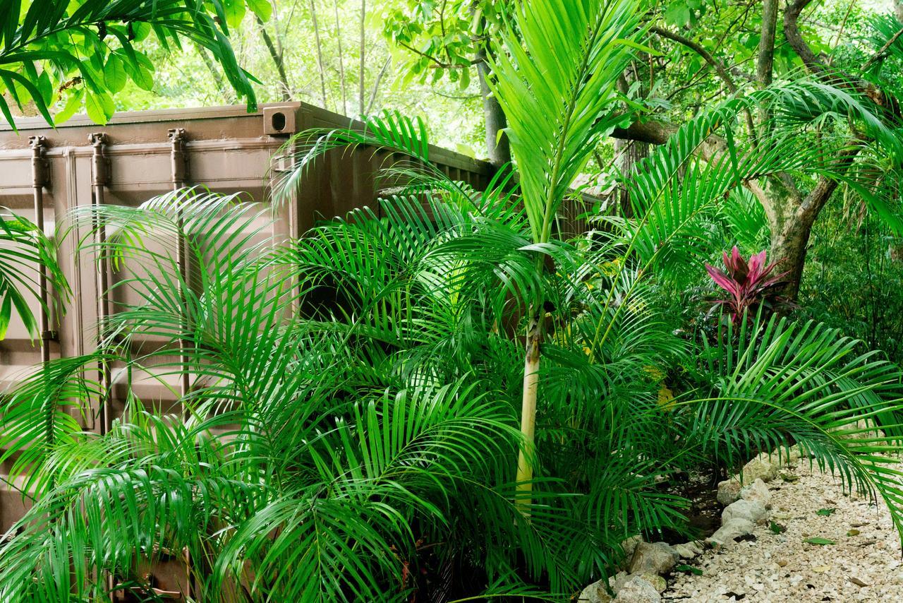 Green Sanctuary Hotel Носара Екстериор снимка
